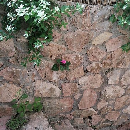 Panoramica Flat Apartment Porto Santo Stefano  Luaran gambar
